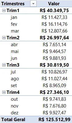 trimestre data excel 1