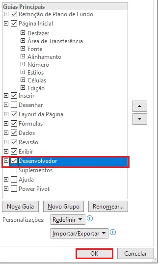 desenvolvedor