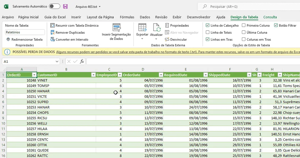 relatório texto excel 19