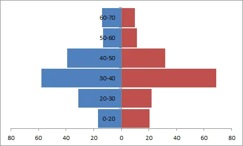 Gráfico de distribuição de idade e gênero excel 9