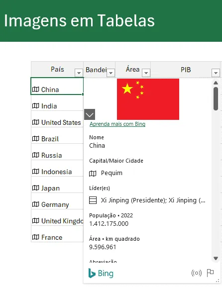 Imagem em Tabela Dinâmica no Excel 1