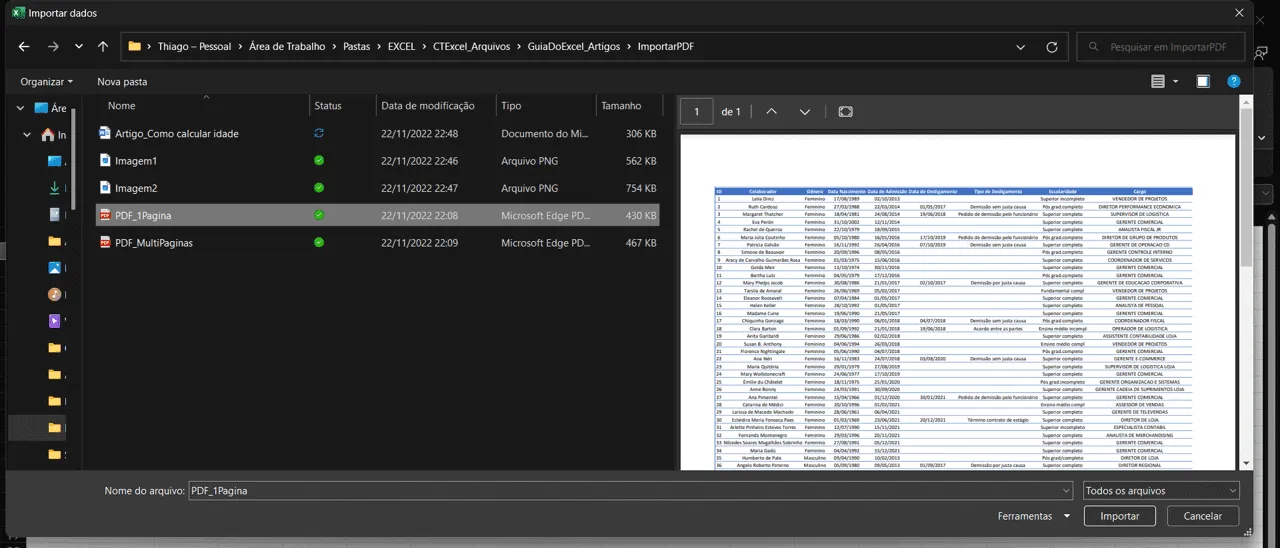 Como importar pdf no excel com power query 3