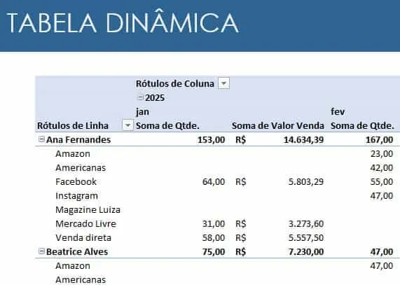 InfoDadosTabelaDinâmica 2