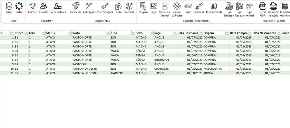 Planilha de Controle Bovino Excel 6