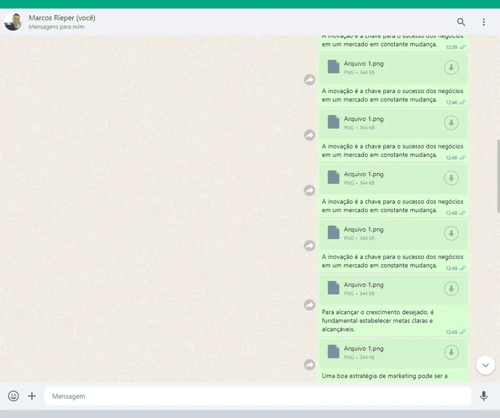 Planilha de Envio WhatsApp VBA com Arquivo Excel 3