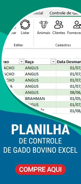 Planilha Controle de Rebanho Bovino Gado Excel