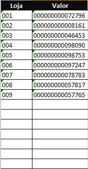 Digitação automática de zeros Excel VBA