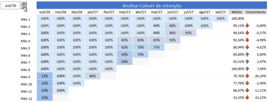 Cohort Excel Análise