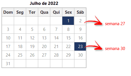 Quantas semanas tem um ano?