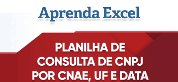 Planilha Consulta CNPJ por CNAE, Data e UF – Consulta CNPJ em Lote