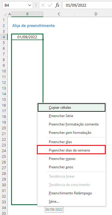 Como gerar apenas os dias úteis do mês no Excel 2