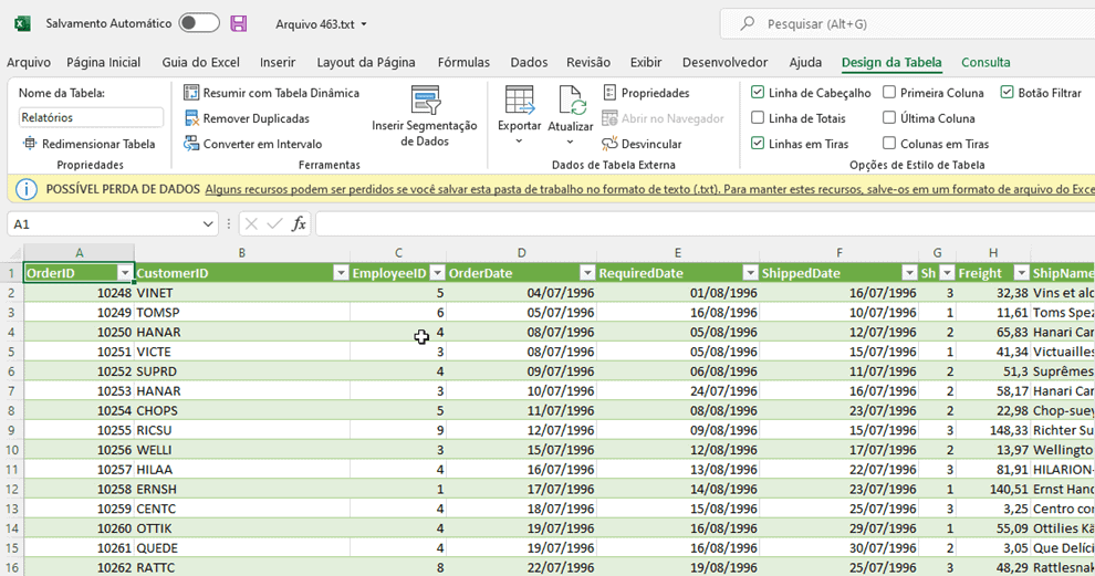 relatório texto excel 19