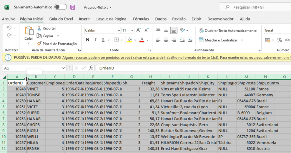 relatório texto excel 6