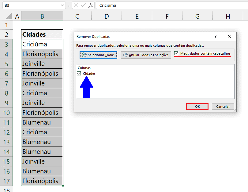 Valores sem Repetição no Excel 12