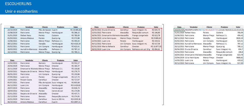 escolherlins excel 1