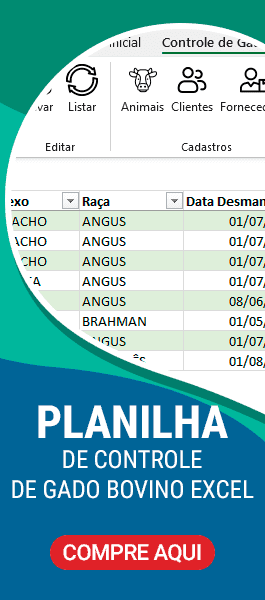 Planilha controle de Gado Bovino Excel