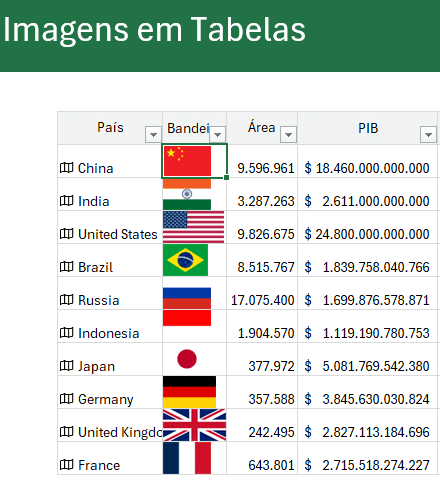Imagem em Tabela Dinâmica no Excel 2